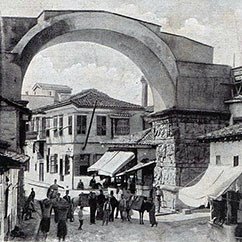 ΕΛΙΑ ΘΕΣΣΑΛΟΝΙΚΗΣ